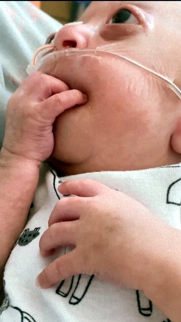 Obituary of Liam Alejandro Nambo Saucedo