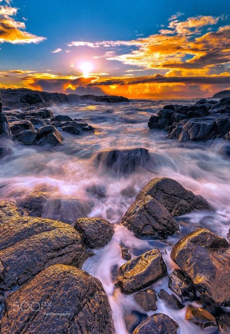 Avis de décès de Susan Carol Heath