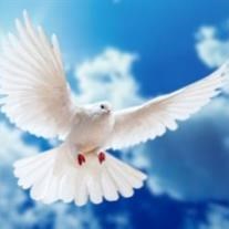 Obituary of Sherry Cazares