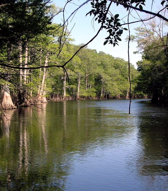 Obituario de Lawrence Samuel Wynne Jr.