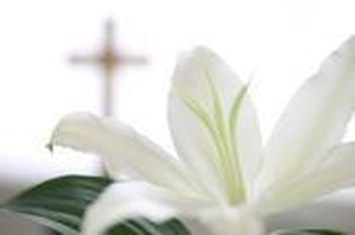 Obituario de Amelia Solis Ramirez