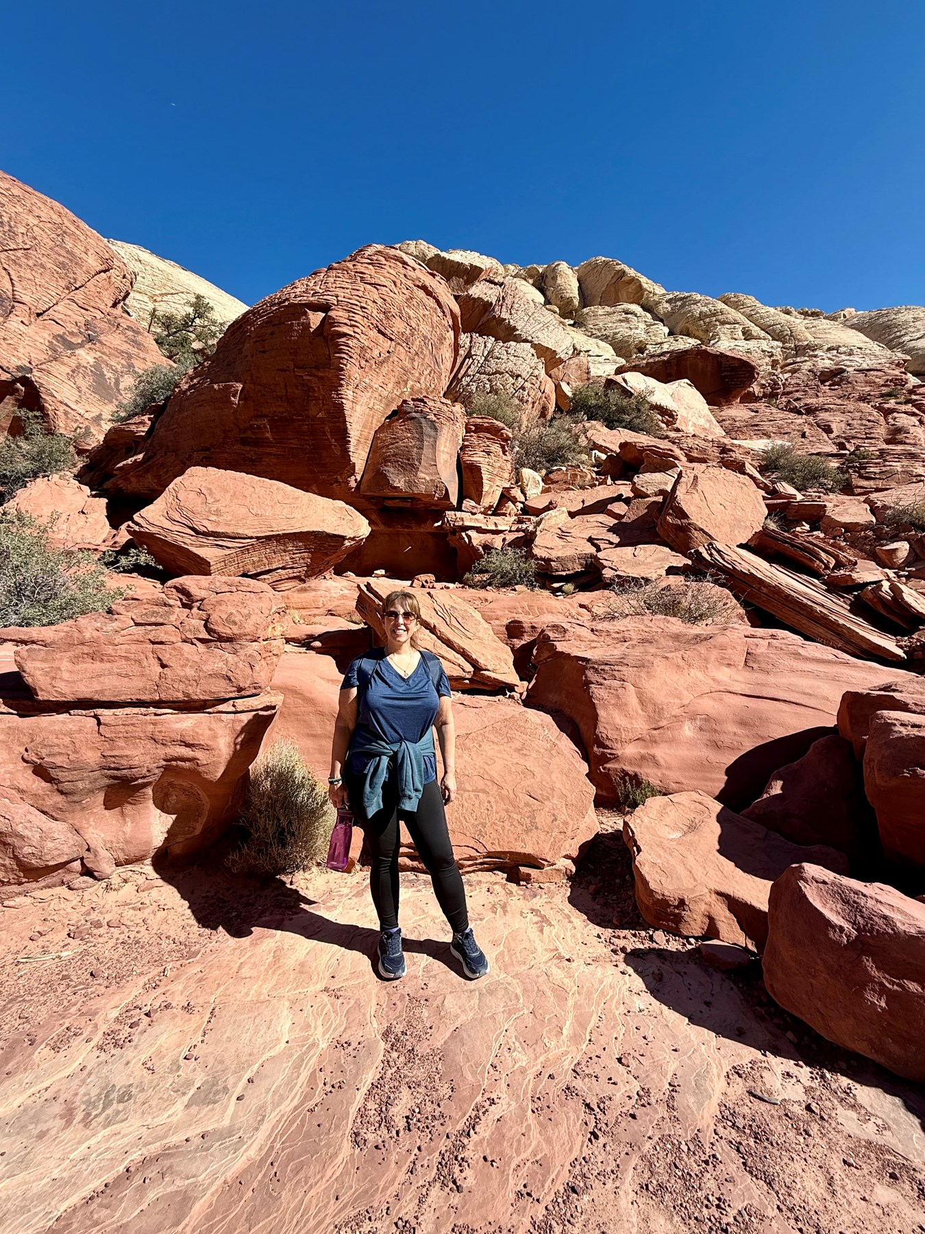 Obituary of Marie D'Anna