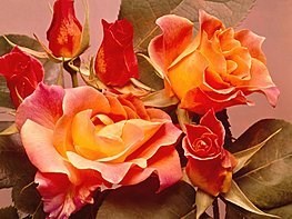 Obituary of Mary B Thomas