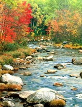 Obituary of Richard G. Kay