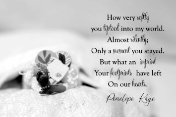 Obituary of Penelope Kaye Wiltfong