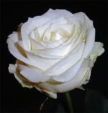 Obituary of Annie Joyce Smith