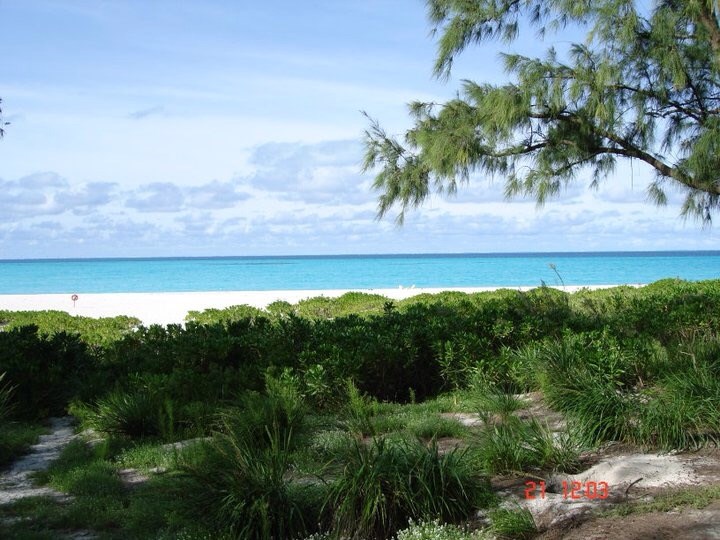 Obituary of Patricia Nathalie Berg