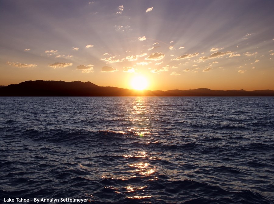 Obituary of Dale Ray Dillon