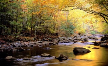 Obituary of Robert Lamar Adams