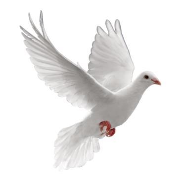 Obituary of Hilda Maria Mendoza de Acosta
