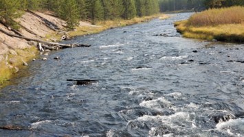 Obituary of Gayle Louise Kennedy