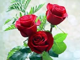 Obituary of Valerie J. Brooks