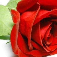 Obituary of Sondra Short Beasley