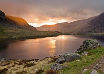 Obituary of Richard Marrone