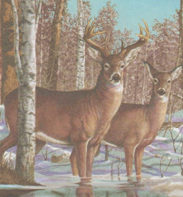 Obituary of Herman Ross Copeland