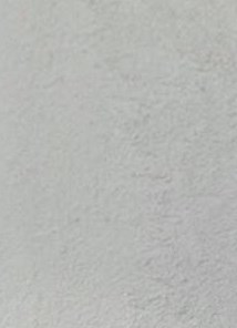 Virginia Reed Cartee Obituary - Tallahassee, FL