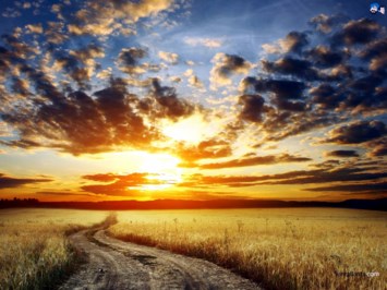 Obituary of Douglas E. Walker