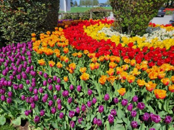 Obituary of Ann Chin-Hong Chen