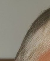 Carol Harris Obituary Rockford IL carol-harris-obituary-rockford-il