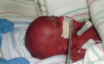 Obituary of Anna Rose Marie Hansen