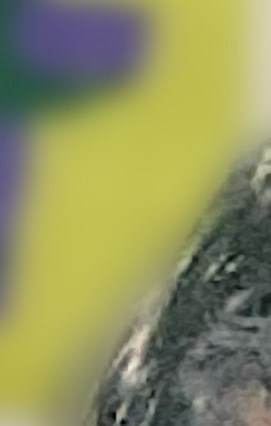 Pearl Eaglesham Obituary Orange City FL pearl-eaglesham-obituary-orange-city-fl