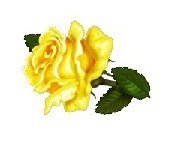 Obituary of Jennifer Palmer