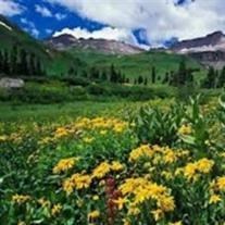 Obituary of Dorothy Carol Bradley