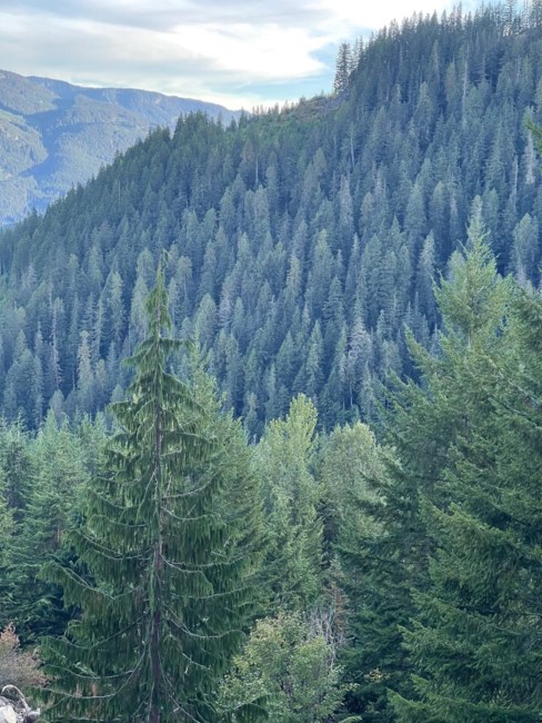 Obituary of David Jeffrey Ross