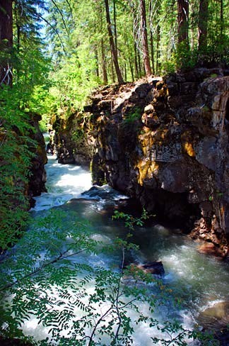 Obituary of Betty Colleen Puckett