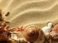 Obituary of Monique McGowan