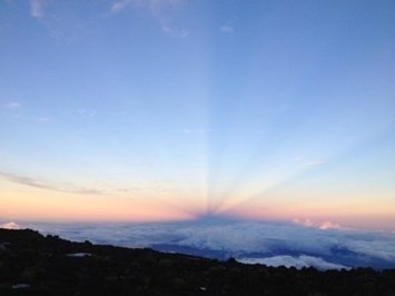 Obituary of Andrew J Moran