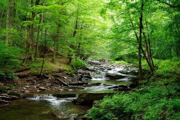 Obituary of John "Jack" Thomas Carney