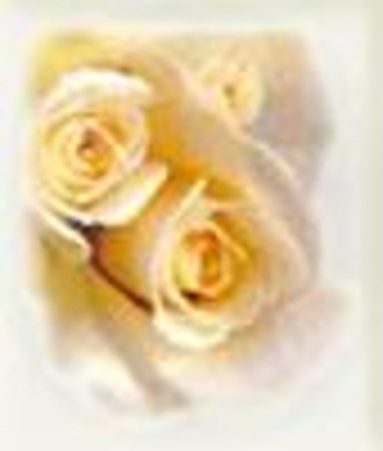 Obituary of Roderick Hanlon MacDonald