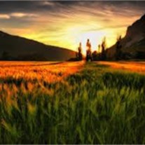 Obituary of Roland Bob Garner