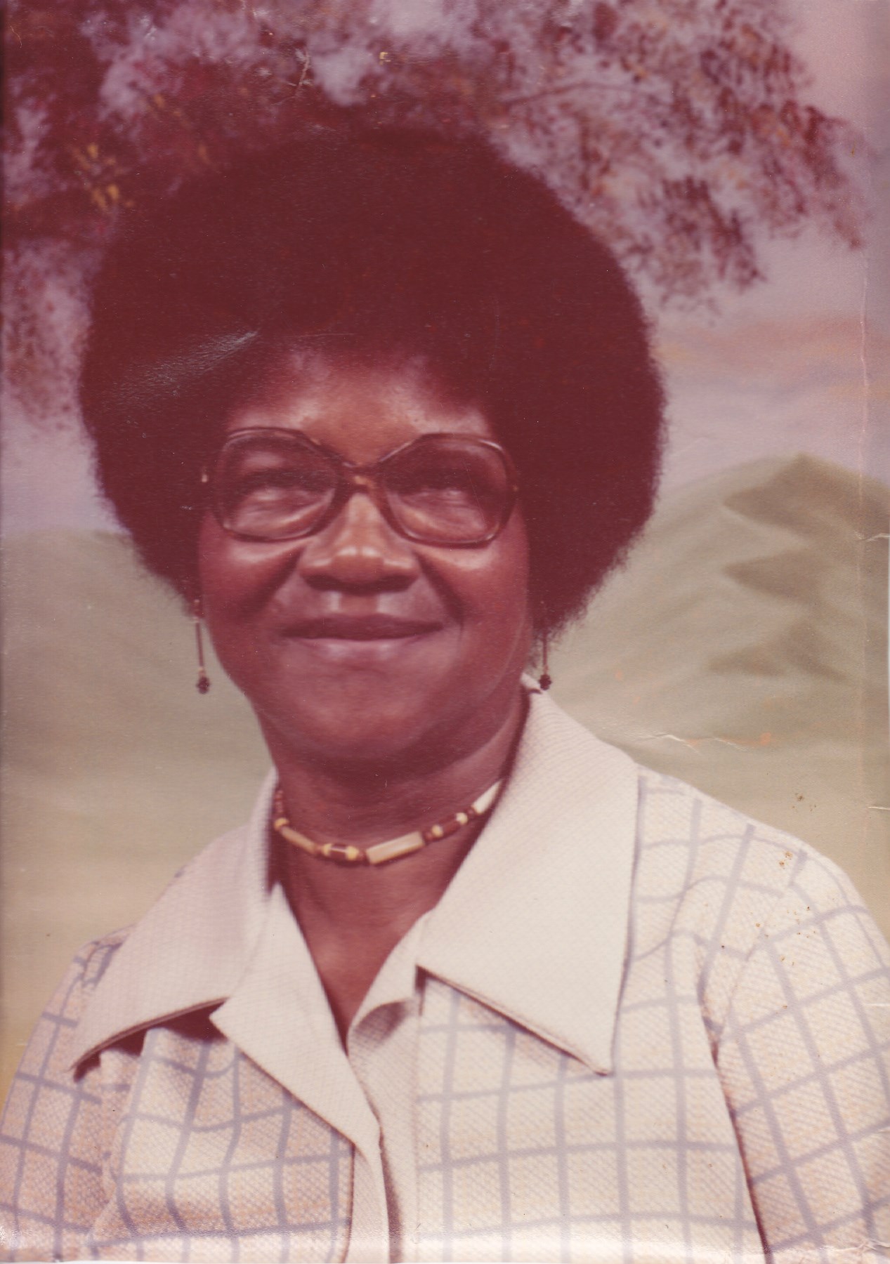 Sadie Smith Obituary Raleigh Nc