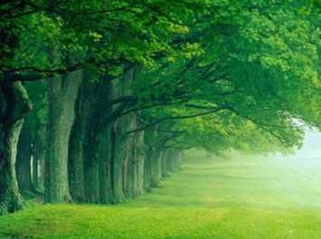 Obituary of John Paul Everett Jr.