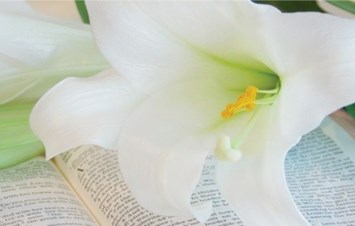 Obituary of Margaret Baker Clark