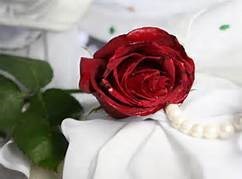 Obituary of Charlotte Ruth Watson Bell