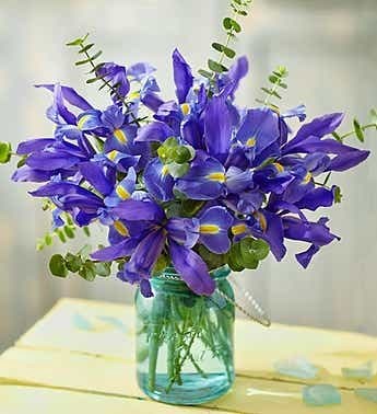 Obituary of Kay Lord Murray