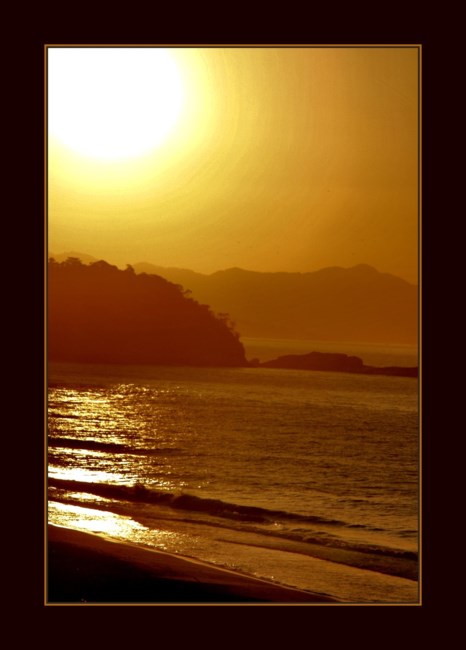 Avis de décès de Mary T. Roche