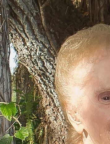 Angelina V. "Angie" Inserra Obituary Gotha, FL