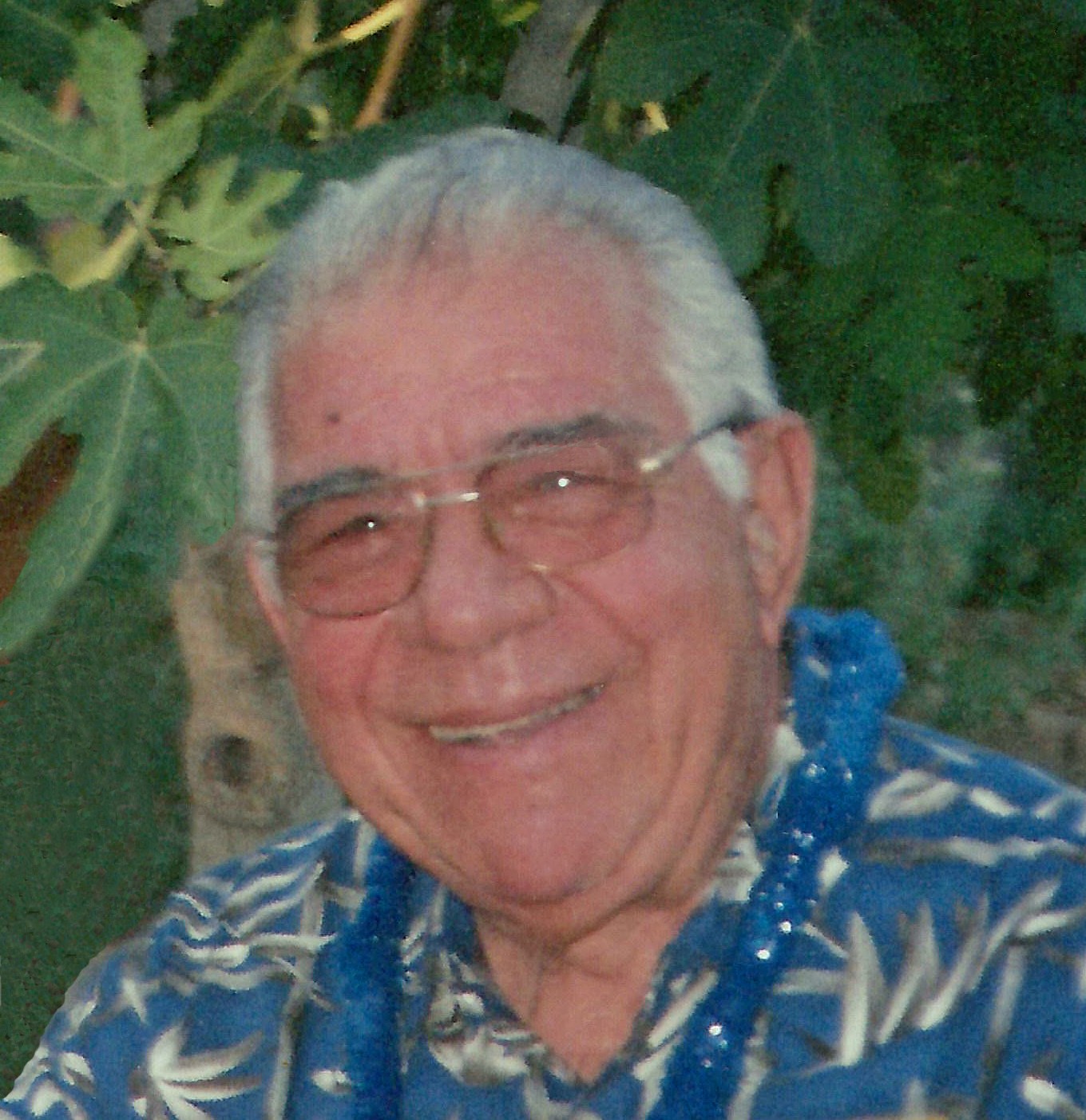 Obituary of Gerald John Lopopolo