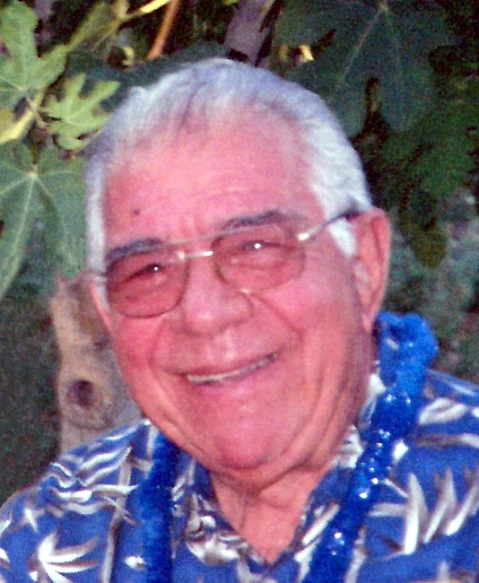 Obituary of Gerald John Lopopolo
