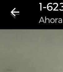 Martin Gomez Rojas Obituary - Tolleson, AZ