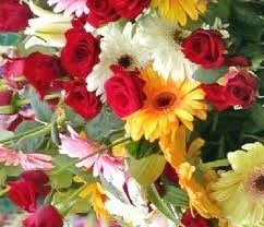 Obituary of Mary K. Erwin