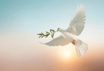 Obituary of Jorge Munguia