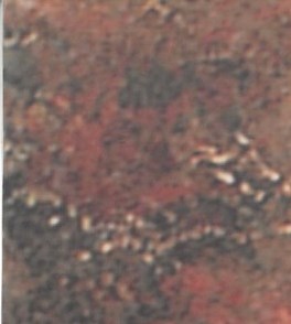 Carolyn Rentz Obituary - McDonough, GA