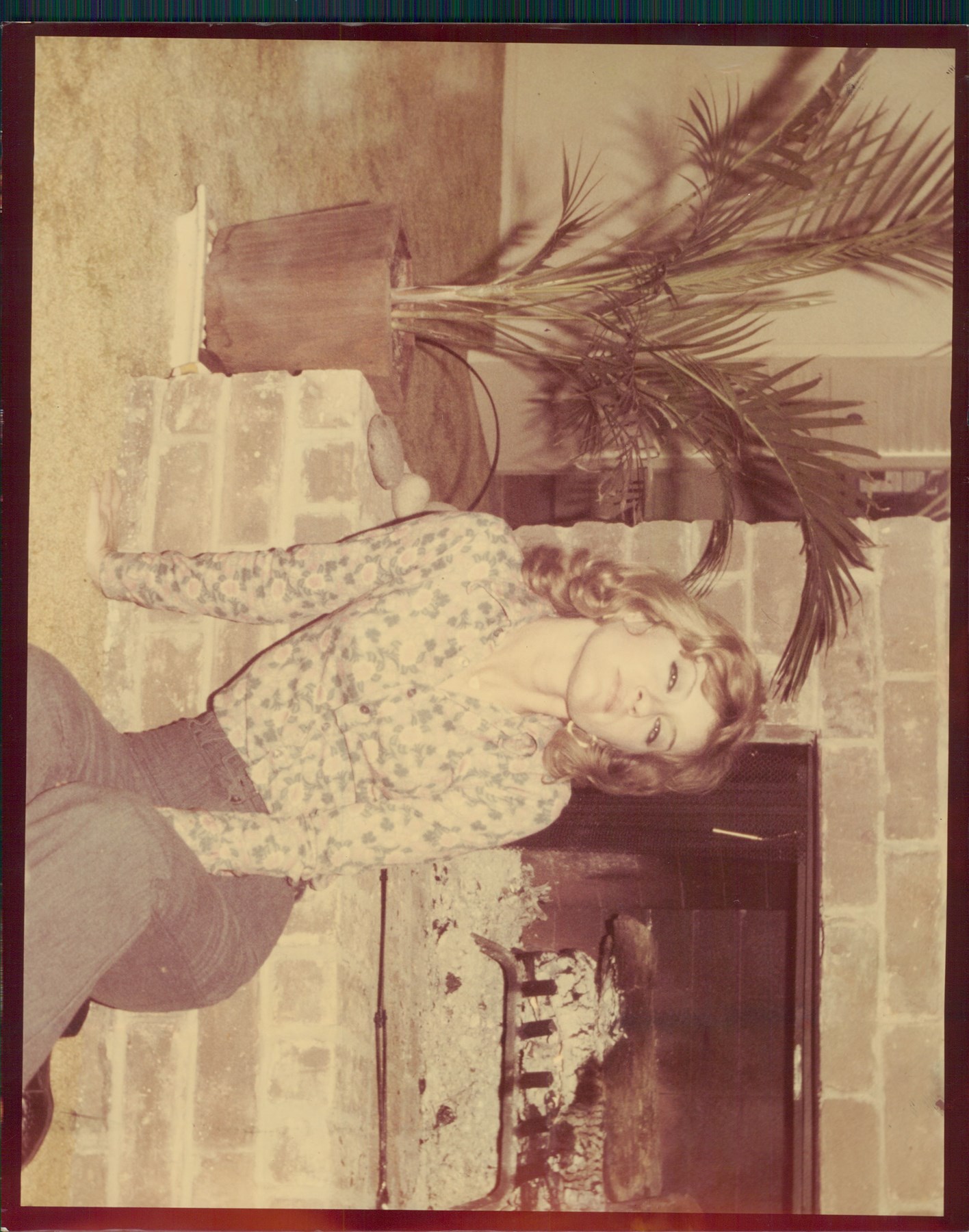 Obituary of Barbara Ann Perkins