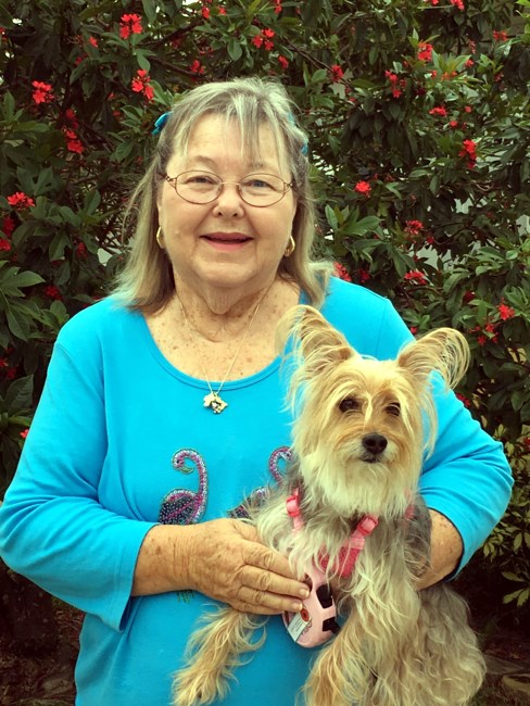 Obituary of Beverly Judith Darragh