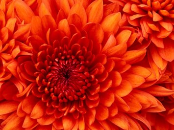 Obituary of Christina Geneva Emery